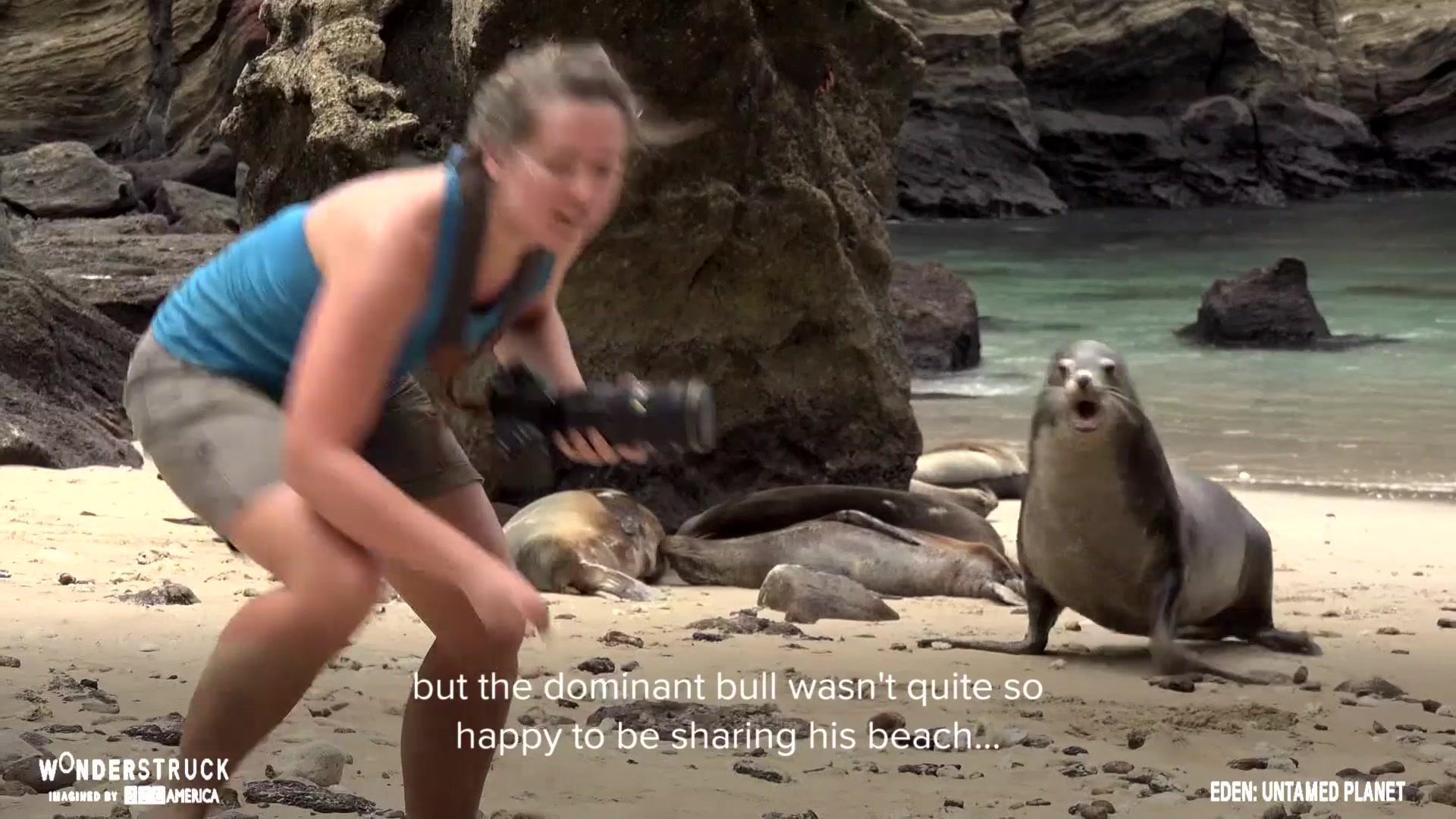 Close Encounters of the Animal Kind! – Wonderstruck