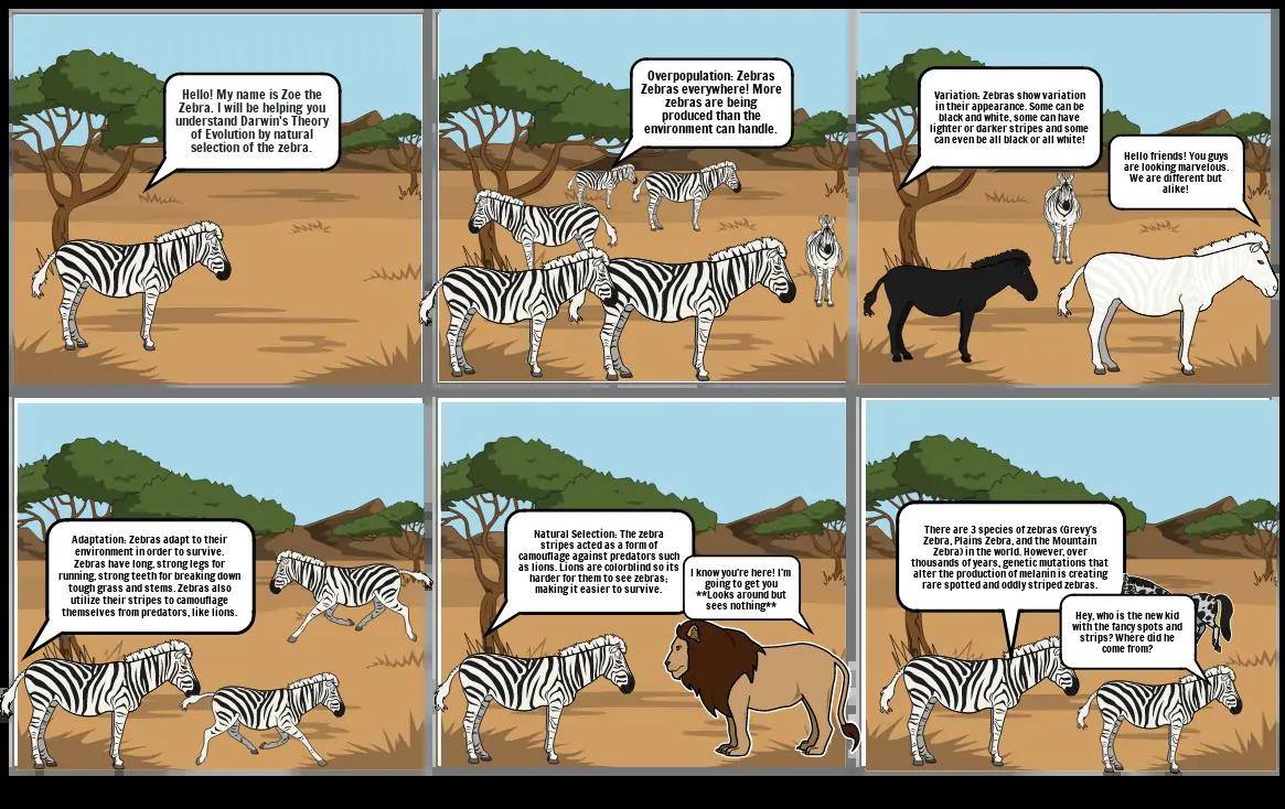 comic Storyboard per 42e51144